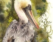 Brown Pelican Print, nature sea bird, pelican art, watercolor painting, print