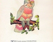 Snowy Petrel, Cockatoo 1912 Antique Bird Children Book Plate 2 Sided