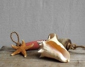 Vintage Conch Sea Shell