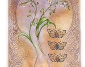 Spring Beauty....... Greeting Card by Renae Taylor