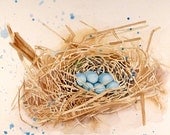 Bird Art - Watercolor Painting Print - Bird Nest Blue Eggs Realistic - Almond Brown, Monaco Blue - Nature Art, Woodland Art - 7.5 x 9.5