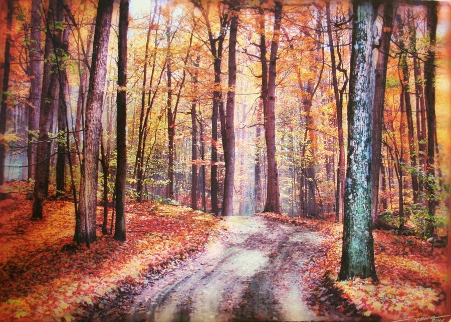 Going back home,11x17, On Sale, Original Signed , Fine Art photograph,Fall decor, woodlands, road, country lane