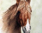 Mustang Quarterhorse Artwork - Crystal - 8 x 10 print of my original watercolor