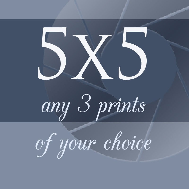 Buy three 5x5 prints of your choice