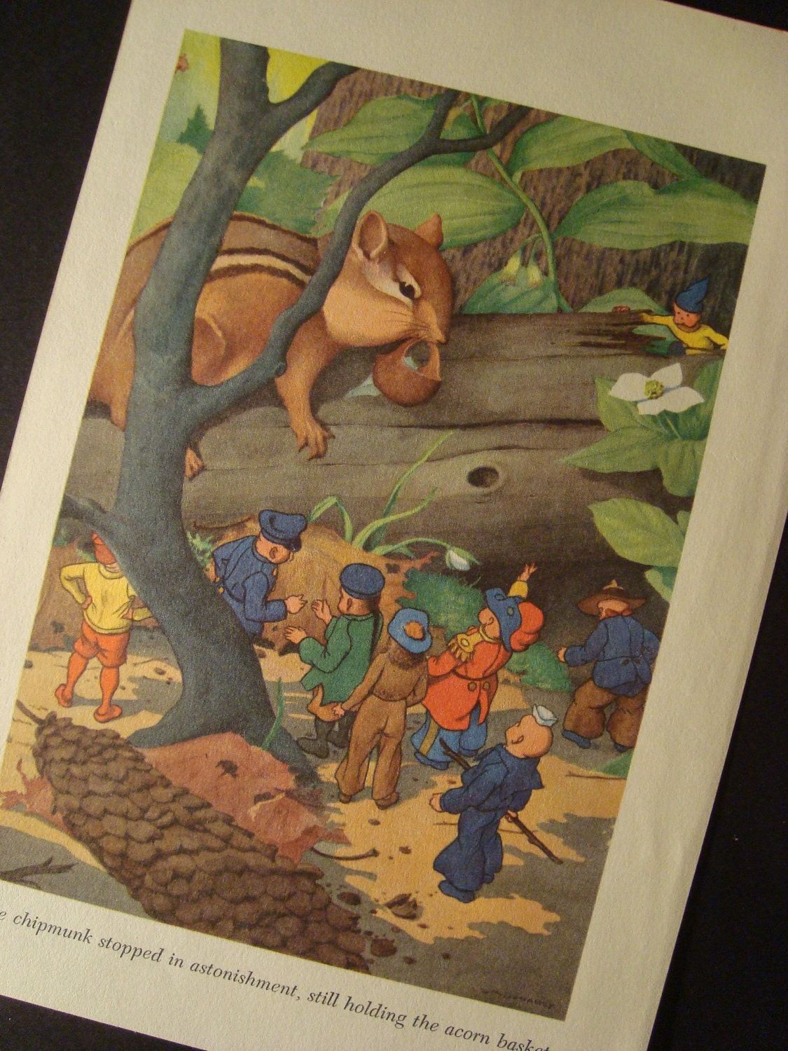 Chipmunk in the Forest Vintage Original Print Number 476