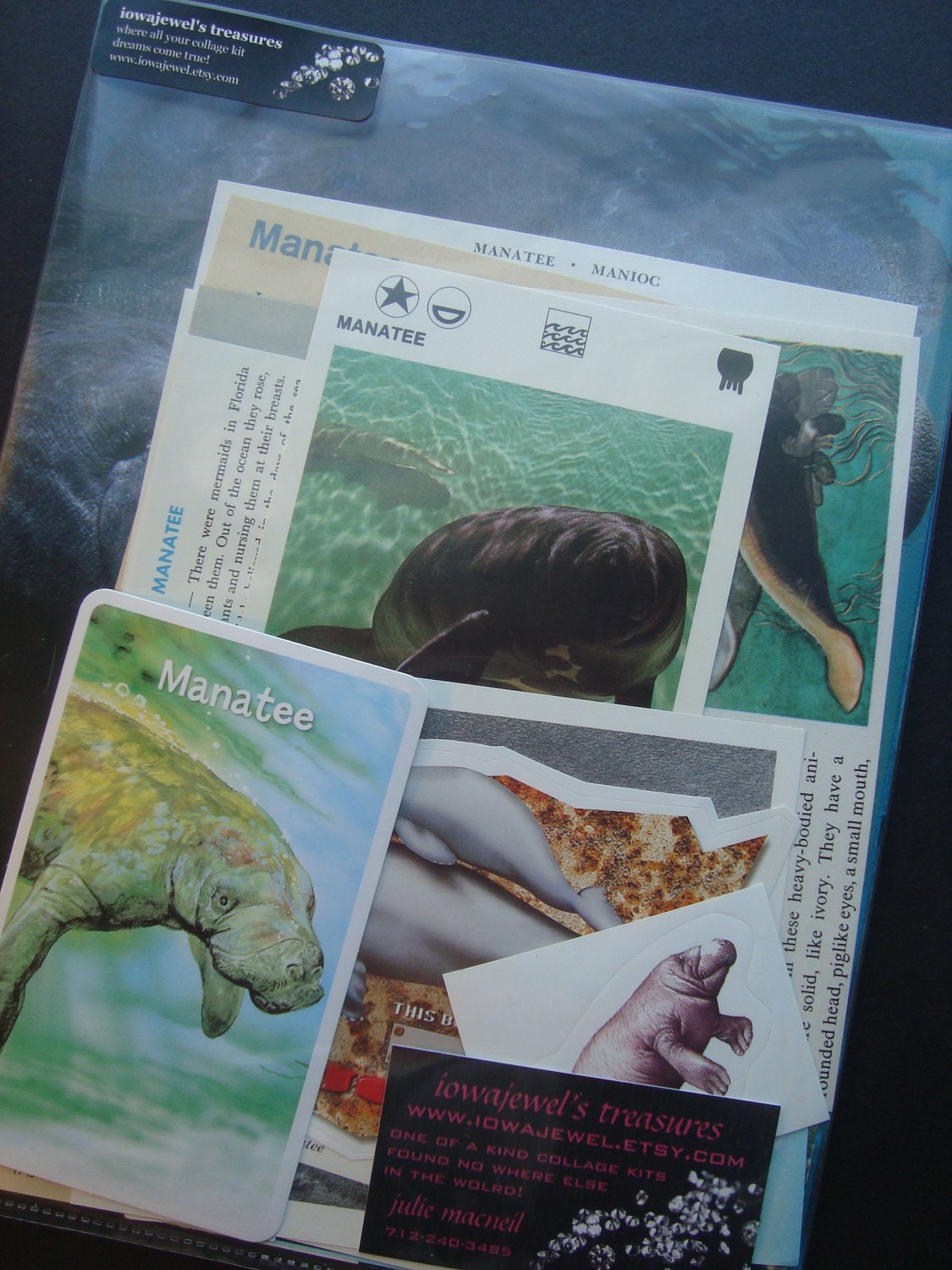 The Vegetarian Mermaid Vintage Manatee and Dugong Collage and Scrapbook Kit Number 1420c