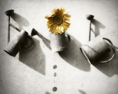 Garden decor, Still life photography, Garden art, Mustard yellow, Summer,Sunflower print,Sunflower photography, Yellow and gray,6x6(15x15cm)