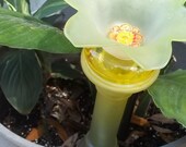 Recycled Garden Yard Art Hanging Basket Mini Totem - Yellow Dreams