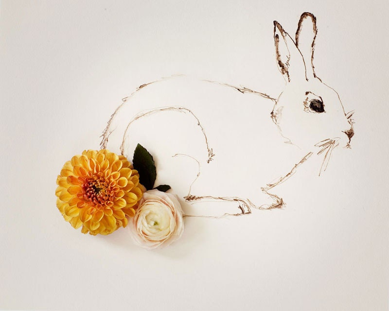 Rabbit No. 0053