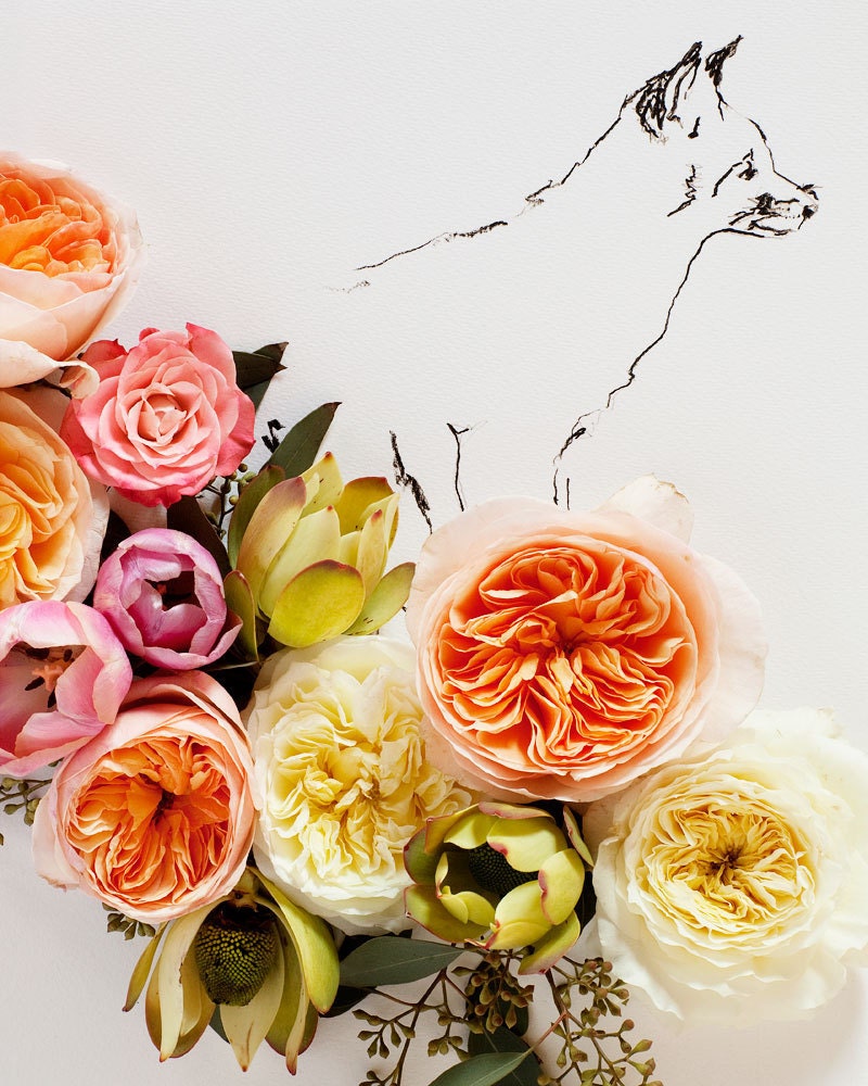 Fox and Flower No. 9889
