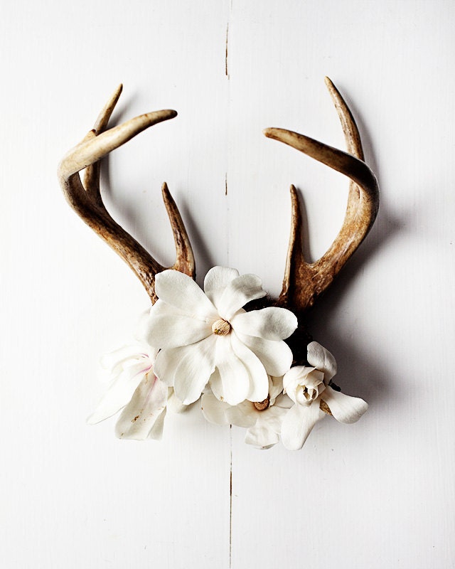 Antler No.6986