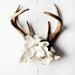Antler No.6986