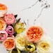 Fox and Flower No. 9889