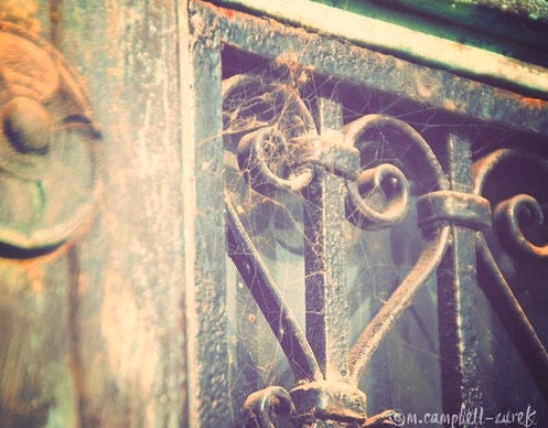 heart photography, love is so short, forgetting is so long, melancholy love cobwebs iron cemetery gate grey gray romantic, sad Valentine