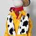 Woody Shirt and vest Costume. Size 2 to 6