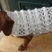 Crochet Dog Sweater XS S M L XL Bobbles and Waves PDF Pattern 1214