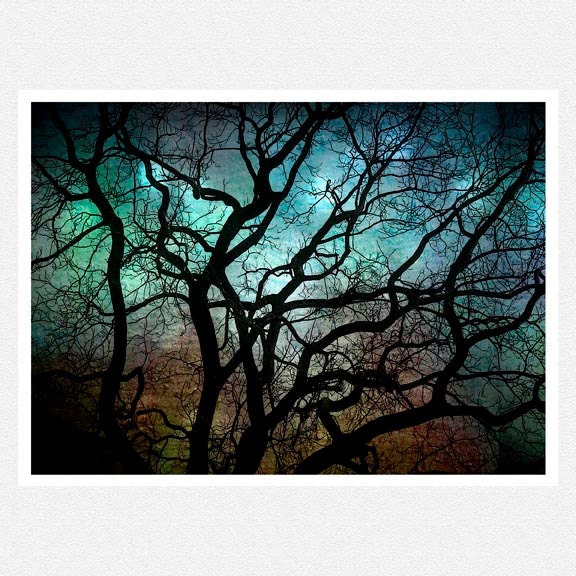 Nature Photography, teal, black tree branches, winter home decor, night sky, Blue Moon Over Philadelphia fine art photography print 8x10