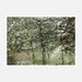 Winter Decor Photography, pale green, snow, trees, The Blizzard, nature fine art print 8x10