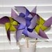 Set of Pinwheels 4 Large Twirlable Pinwheels VIOLET PLUM Gourmet Bouquet