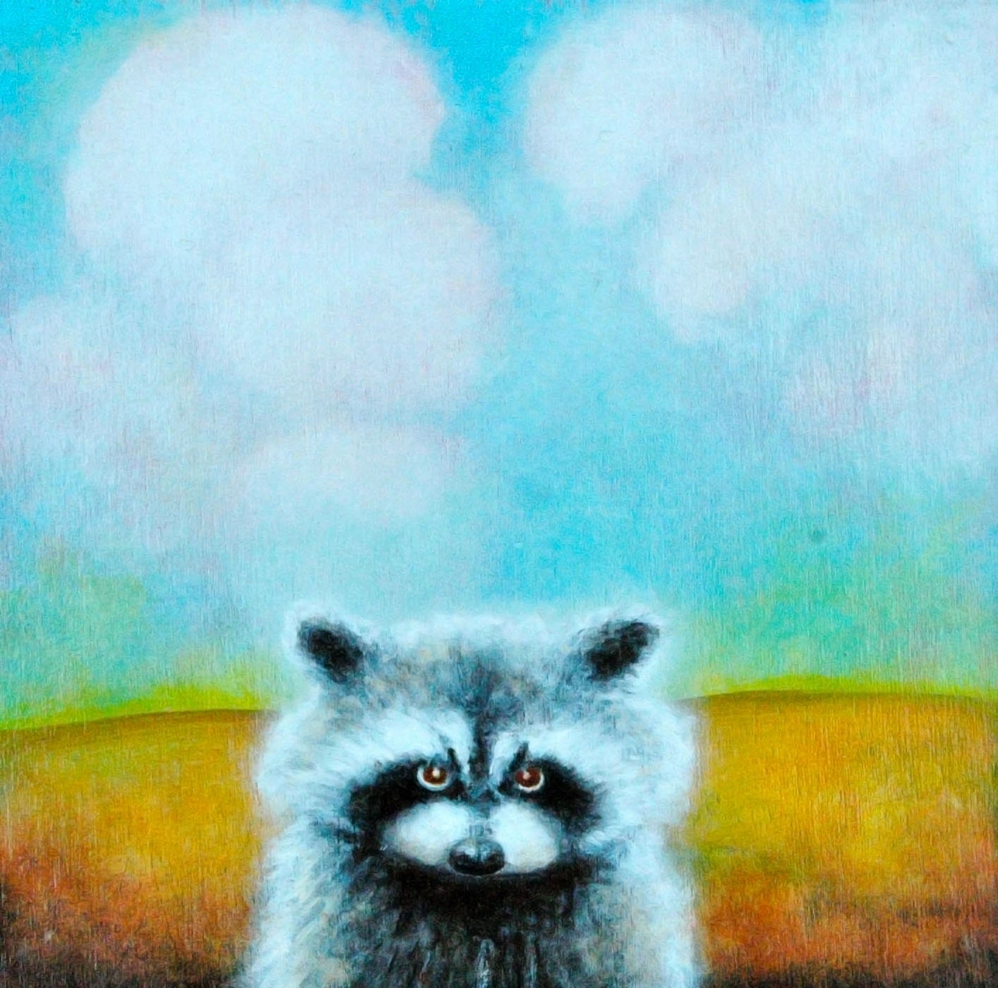 Raccoon Print  8"x10"