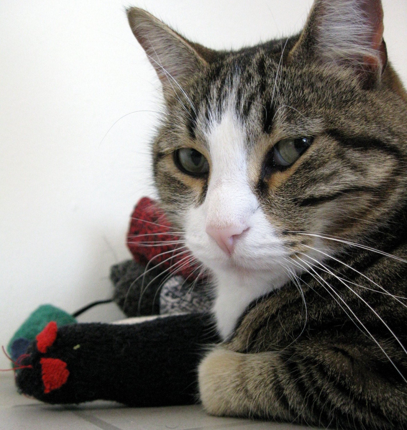 Super Size organic catnip mouse toy