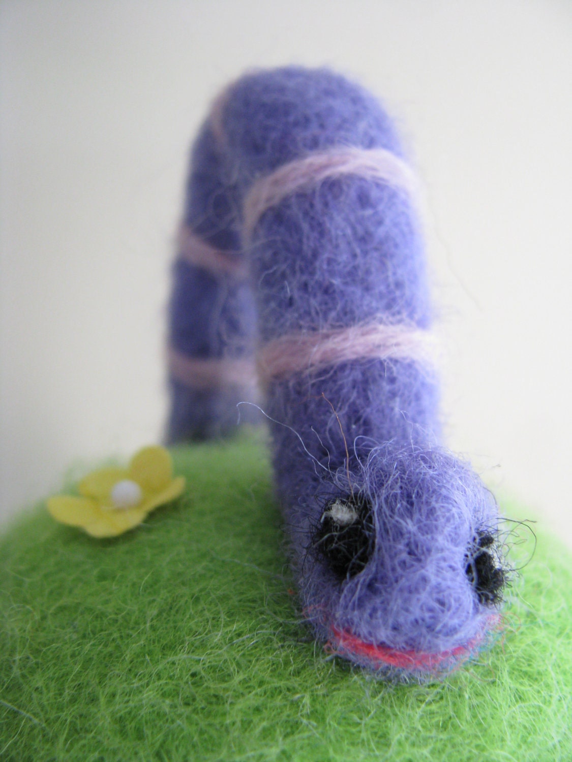 Purple Inchworm