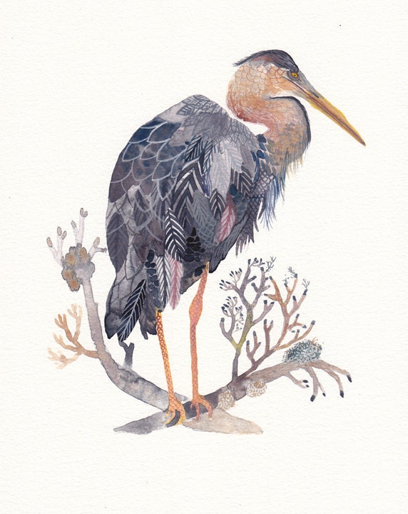 Grey Heron - Archival Print