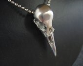 Raven Skull Necklace - Crow Bird