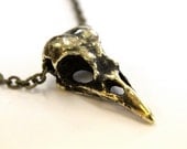 Crow Skull  Necklace  - Antique Brass