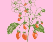 Organic Pink Summer Strawberry Bodysuit, sweet yummy berries, short sleeve, perfect baby shower gift,