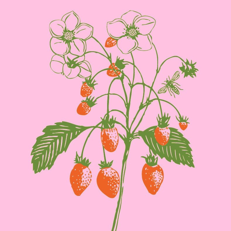 Organic Pink Summer Strawberry Bodysuit, sweet yummy berries, short sleeve, perfect baby shower gift,