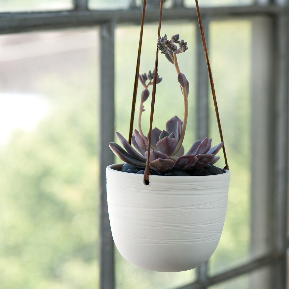 Scribble Hanging Planter