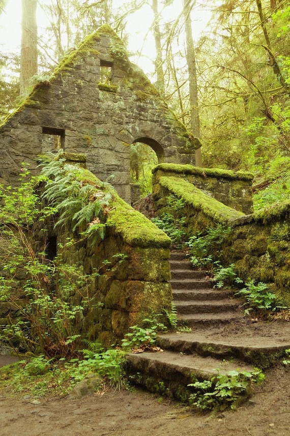 The Stone House - Forest Park Portland Oregon 6 x 9 Fine Art Photo - Archival Print