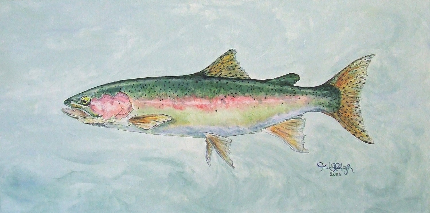 Items Similar To Rainbow Trout Painting Acrylic On Canvas 15 X 30 X