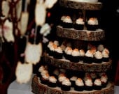 Custom for Ashley 5-tier Cupcake Stand for your Wedding, Event, or Party (As seen on HGTV.com and The Tomkat Studio)