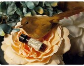 natural perfume oil -  1/8 oz perfume in apothecary vial - pick your poison today - over 60 aroma options -  the minor arcana aromas