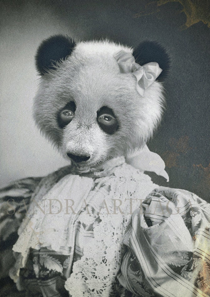 Olga - lustre print  size A4 ( 8.3 in x 11.7 in ) - anthropomorphic portrait animal drawing panda bear black white lady