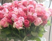Paris Photography  -  Pink and Red Roses in Parisian Market,  Romantic French Home Decor, Wall Art