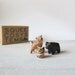 Woodlands no. 1 Squeecosystems instant collection