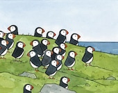 Puffin Colony Watercolor Illustration Print 5x7