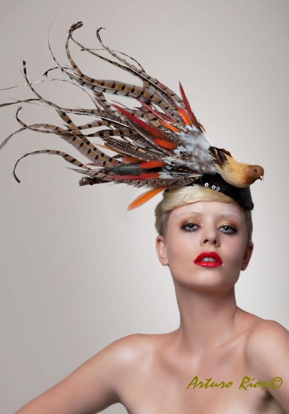Pheasant tale Fascinator, Headpiece, Cocktail hat, Buy Fascinator