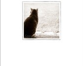 Cat Greeting Card - "Keeping an Eye on the Neighbors"