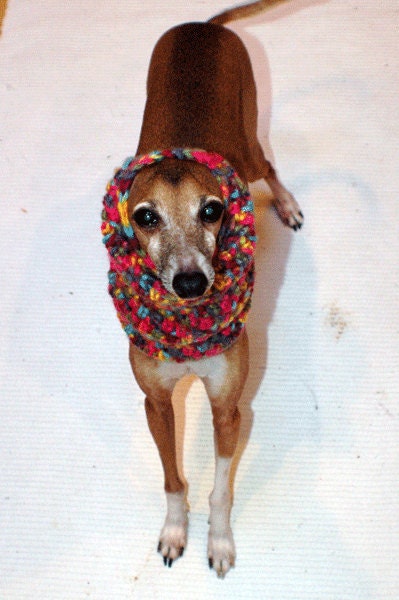 Italian Greyhound (Small Dog) Snood or Neck Warmer in Party Time Color
