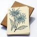 Wildflower Notecards in Blue and Cream -Set of 6 flat Notecards and Kraft Envelopes