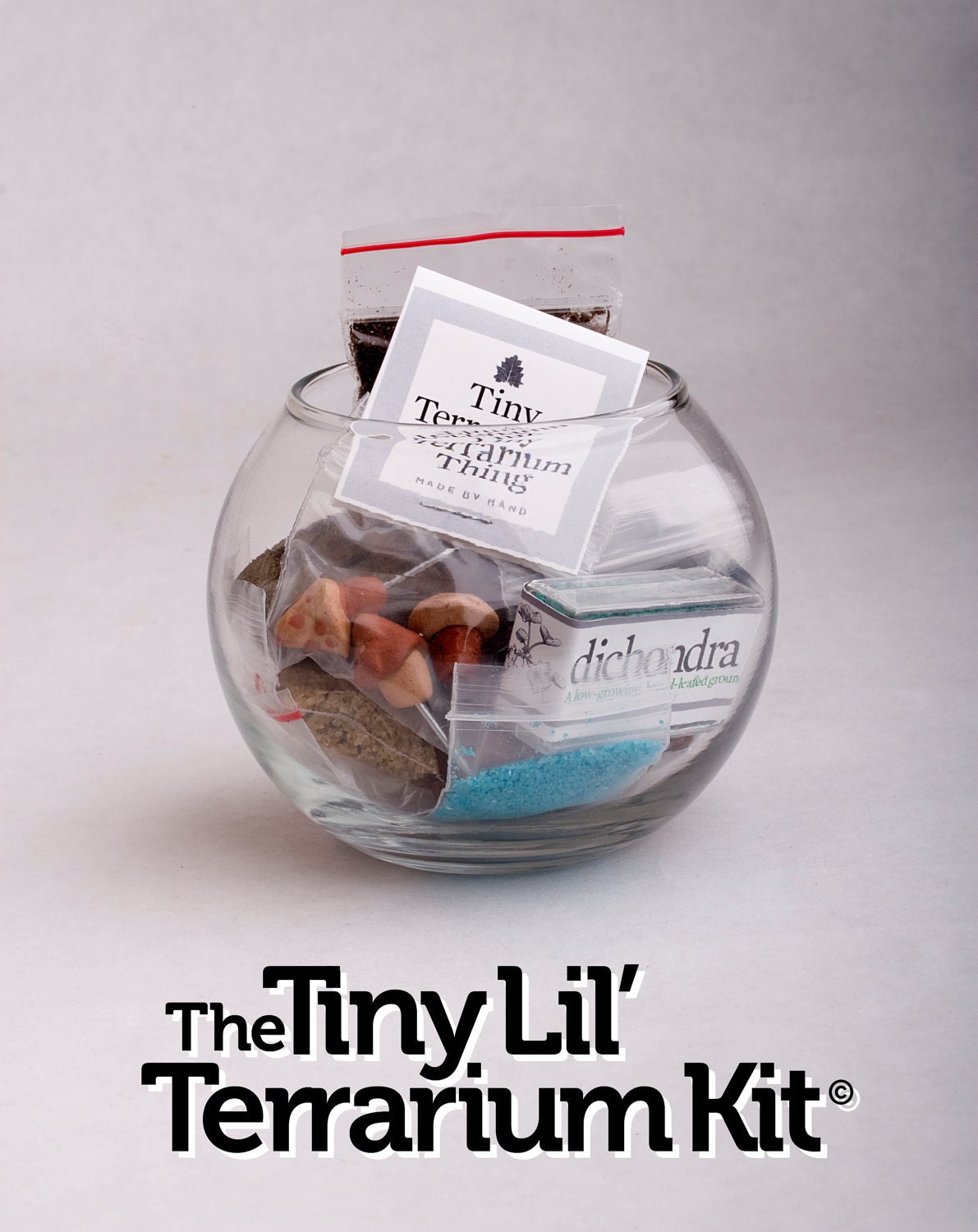 Tiny Lil' Terrarium Kit Desktop Micro-Environment - Everything you need container planter