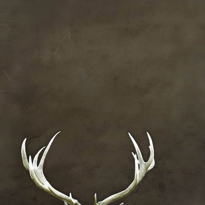 BOGO SALE, Deer Antler print, modern Fall home decor, for men and dudes, minimalist man cave wall art, quirky, outdoor, 5x5 print - Raceytay