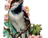 Bird and Flowers Downloadable, Printable Digital Art Image