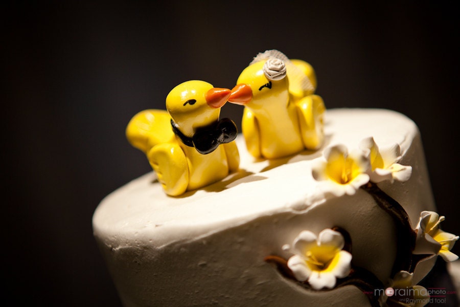Custom Love Bird Wedding Cake Topper Birds - Custom Choice of Colors