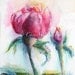 fuchsia pink Valentine rose gift just for her/him watercolor giclee print