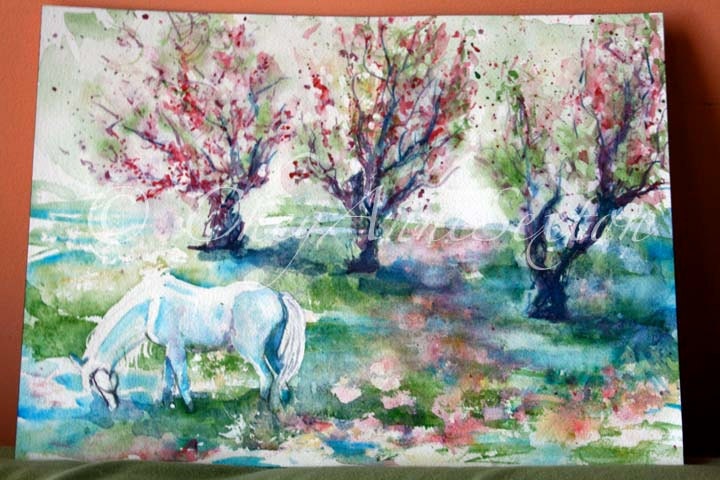 White Horse Art - Sugar - in the Apple Orchard Meadow - watercolor giclee 16x20 - Equine Fine Art